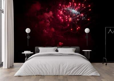 fireworks in the night sky Wall mural