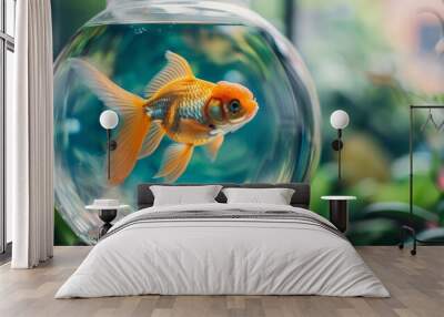 aquarium accessories ornamental goldfish swimming in glass bowl pet care concept photo Wall mural