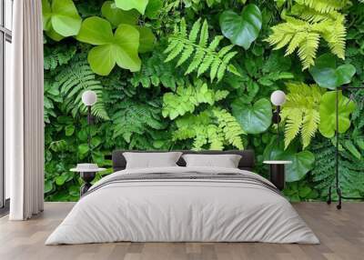 lush green foliage wall with a variety of leaves and ferns, creating a vibrant, natural backdrop that promotes a sense of tranquility and connection with nature Wall mural