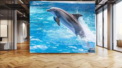 majestic dolphin leaping out of sparkling blue water dynamic action shot Wall mural