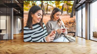 Two Women Sitting on a Bench Looking at Their Phones Wall mural