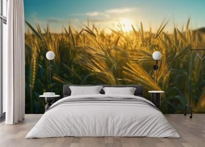 Agriculture nature rural scene, summer farm outdoors Yellow growth wheat sunset season meadow sun plant sunlight generated by AI Wall mural