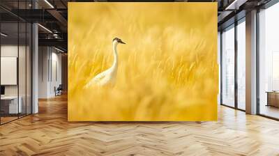 Elegant Heron Stalking in Glowing Golden Meadow Landscape Wall mural