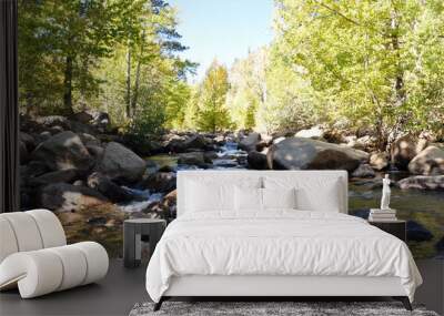 Pretty landscape scene of a flowing river with large rocks and boulders, with mountains and trees with fall colors in the background Wall mural