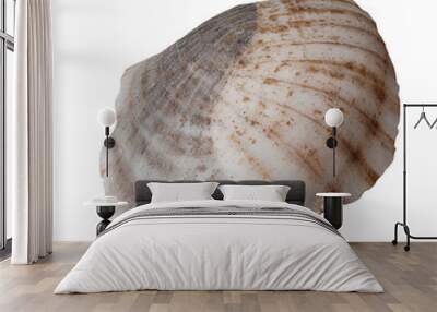 single isolated sea shell bright conch on transparent background, generative AI Wall mural