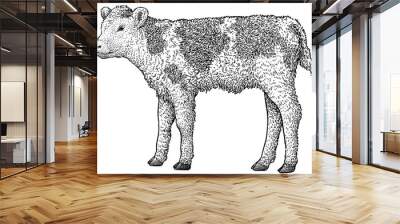 Calf illustration, drawing, engraving, ink, line art, vector Wall mural