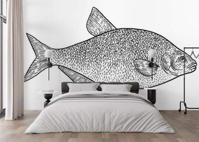 Carp bream illustration, drawing, engraving, ink, line art, vector Wall mural