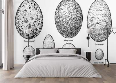 Collection of bird eggs illustration, drawing, engraving, ink, line art, vector Wall mural