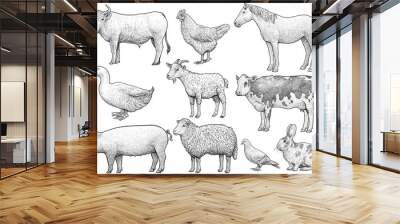 Domestic, farming, animal collection, illustration, drawing, engraving, ink, line art, vector Wall mural