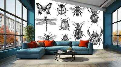 engraved, drawn,  illustration, insects Wall mural