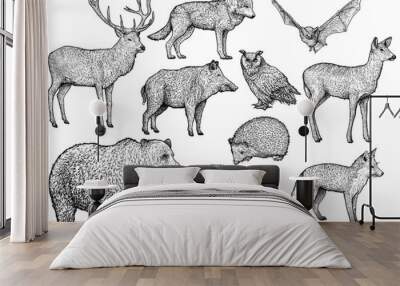 Forest animal illustration, drawing, engraving, ink, line art, vector Wall mural