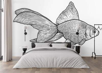 Goldfish illustration, drawing, engraving, ink, line art, vector Wall mural