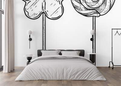 Lollipop illustration, drawing, engraving, ink, line art, vector Wall mural