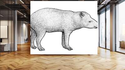 South American tapir illustration, drawing, engraving, ink, line art, vector Wall mural