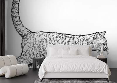 Walking cat illustration, drawing, engraving, ink, line art, vector Wall mural