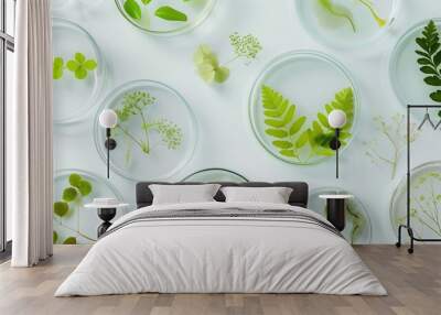 Petri dishes with different plants and cosmetic products on white background, top view Wall mural