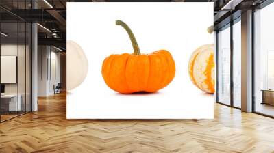 Assortment of autumn pumpkins isolated on a white background. White, orange and striped. Wall mural