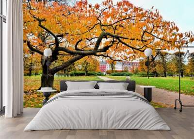 Beautiful autumn colors in a city park in Copenhagen, Denmark Wall mural