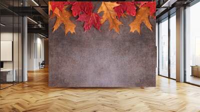 Colorful autumn leaves top border over a dark stone banner background. Overhead view with copy space. Wall mural