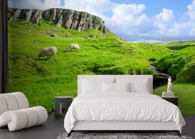 Isle of Skye, Scotland. Sheep grazing along a stream in the green landscape of the highlands. Wall mural