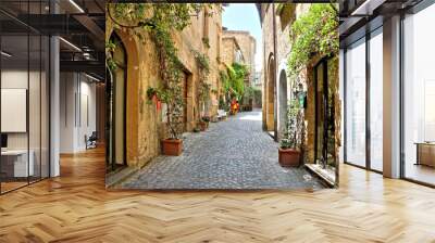 Quaint street lined with plants outside historic buildings in the medieval old town of Orvieto, Umbria, Italy Wall mural