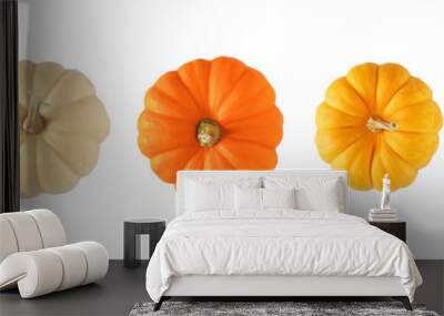 variety of autumn pumpkins, top view isolated on a white background. assorted shades of orange and w Wall mural