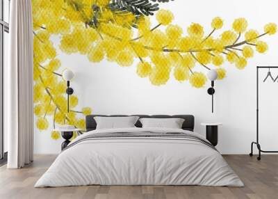 Mimosa yellow spring flowers watercolor with transparent background Wall mural