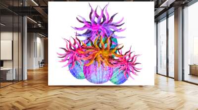 Watercolor  sea  anemones with transparent background Wall mural