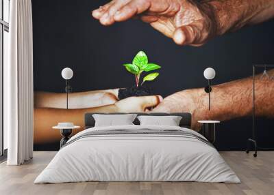 concept of family. hands of father and child hold a green plant Wall mural