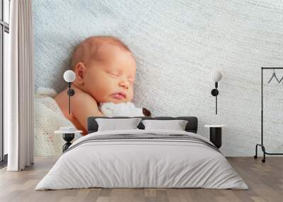 Cute newborn baby sleeps with toy teddy bear Wall mural