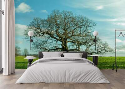 Oak tree in springtime Wall mural