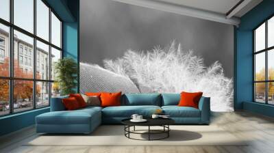 bird feather macro Wall mural