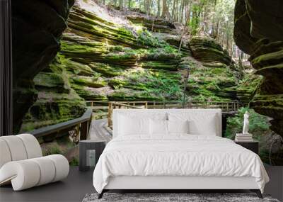 A boardwalk through a gorge of  Cambrian sandstone  along the Wisconsin River in the Wisconsin Dells. Wall mural