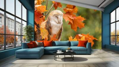 A sleepy barn owl on a maple tree Wall mural