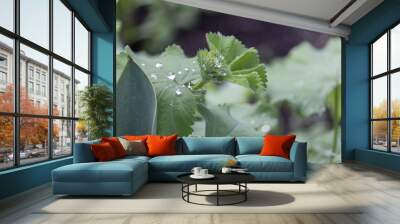 Bridge of Flowers Wall mural