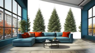 Tall, green pine trees lined up in a row against an isolated, transparent background, each with slightly varying shapes and densities of foliage Wall mural