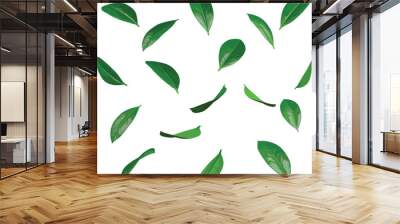 Flowing Green Leaves in Descent, 3D Rendering, Illustration Background PNG File Wall mural