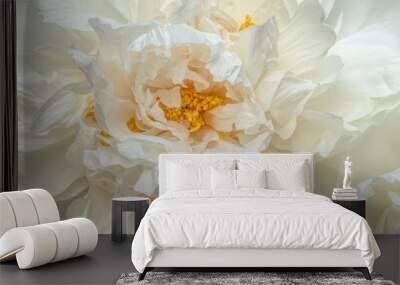 Heart of a white peony blossom or bloom Wall mural