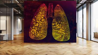 Illustration of lungs and lung disease from vaping Wall mural