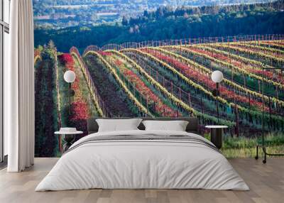 An Oregon vineyard in spring shows vivid red crimson clover between lines of tiny leaves glowing in afternoon sun along the wire trellis flowing over a hill. Wall mural