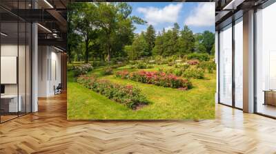 Rose garden in Elizabeth Park, West Hartford, Connecticut Wall mural