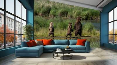 three bears standing Wall mural