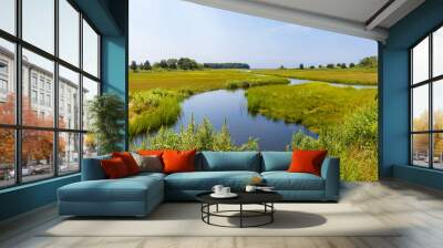 Tidal creek flowing through a salt marsh Wall mural