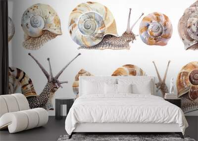 Watercolor Illustration of a Set of Snails Isolated on White Background Wall mural