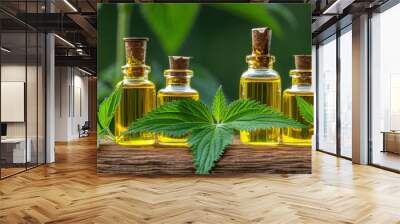 Freshly Harvested Nettle Oil in Glass Bottles with Stinging Nettle Urtica Dioica Leaves on Wooden Table Wall mural