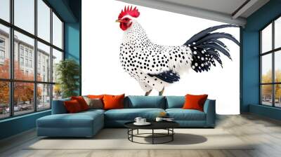 Isolated Chicken on White Background - Farm Animal Wall mural