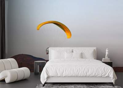 Paramotor pilot coming in to land	 Wall mural