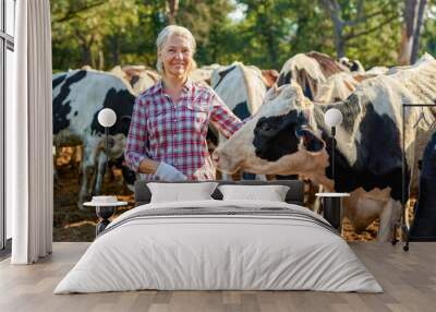 Farmer woman is working on farm with dairy cows Wall mural