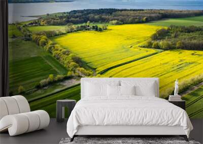 Areal shot of blooming rape field in Mecklenburg-Vorpommern at the baltic sea.. Wall mural