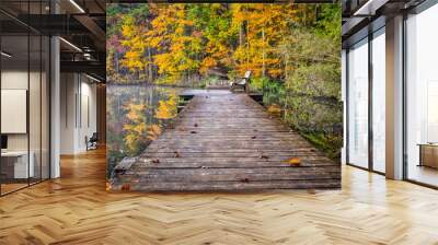 Please sit, enjoy.  A wood bench sits on a pier in a serene portion of a lake surrounded by the beautiful colorful fall foliage. Wall mural